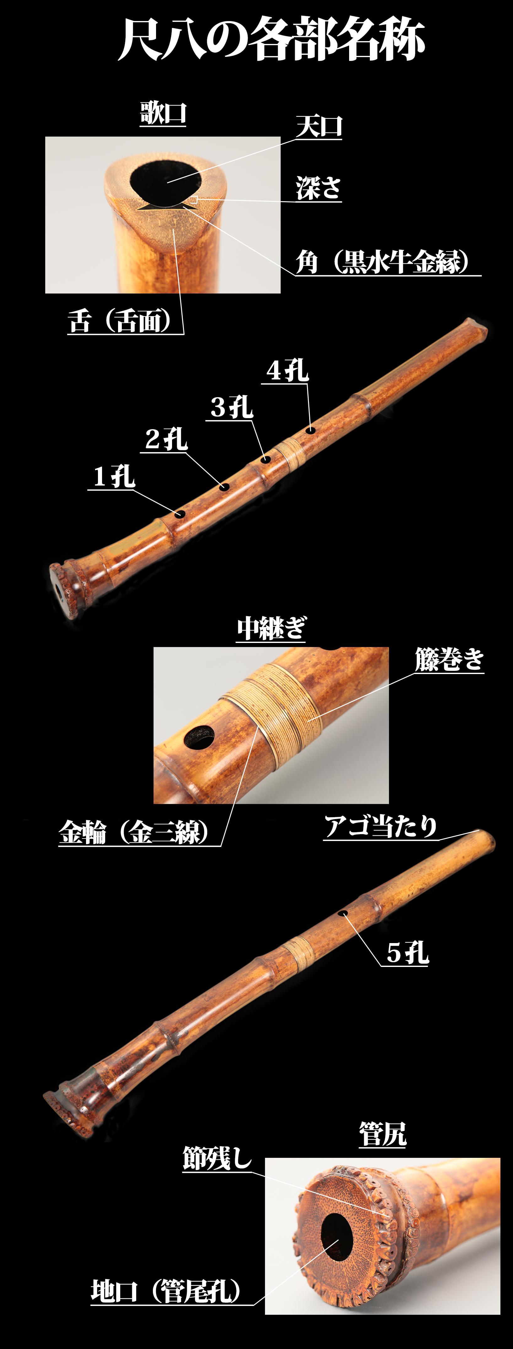 刻印州鳳尺八 和楽器 州鳳 １印 琴古流 5孔 バチ型 歌口銀 銀三線藤 